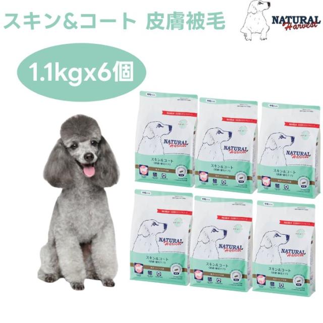 ナチュラルハーベスト スキン＆コート 皮膚 被毛ケア 1.1kgx6個  スキン 毛艶  ドックフード 犬 餌 Natural Harvest
