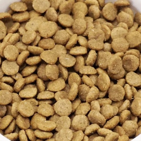 ネイチャーズプロテクション ホワイトドッグ ラム アダルト 1.5kgx2個 犬 成犬 涙焼け 白毛 ドッグフード 餌_1