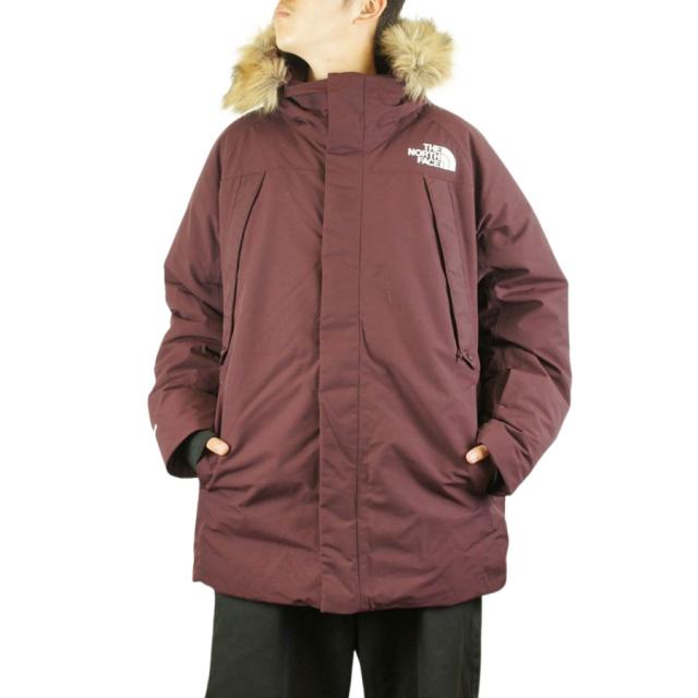 刺繍ロゴ　日本未発売　USA企画　 THE NORTH FACE/ノースフェイス 新品 XL フリース　ジャケット　パーカー　スウェット　 　　 US企画 ノースフェイス プリント スウェット フード パーカー メンズ