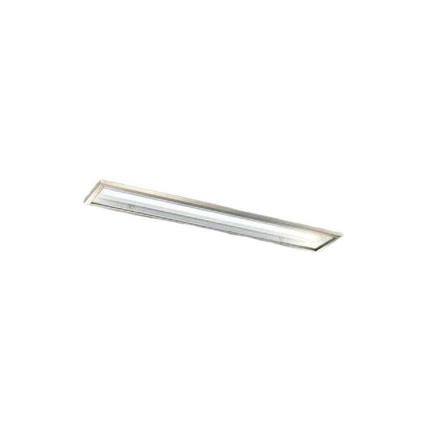 LEER-42251S6-LD9《法人様限定》【東芝】【工事必要】ＬＥＤベースライトTENQOOシリーズクリーンルーム向け器具　【ＬＥＤバー別売】