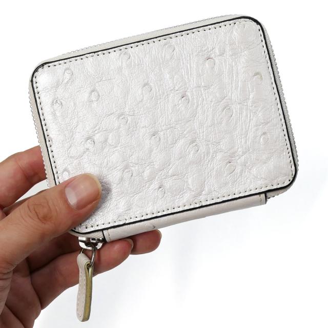 カードケース ラウンドファスナー 本革 オーストリッチ ダチョウ革
