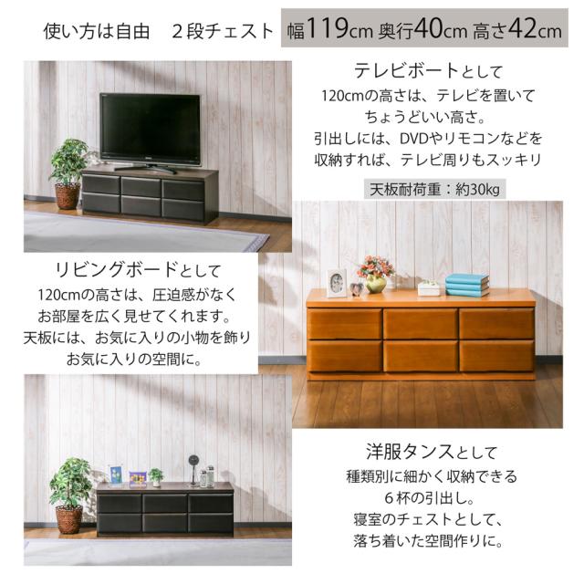 タンス ローチェスト 幅120 完成品 ロータンス 洋服タンス 120-2 収納家具チェスト 洋服収納タンス 収納ケース レール付き チェスト 2段タンス 整理タンス 低い棚 低い台 収納だな ローチェストおしゃれ ローボードテレビ台 木製ローチェスト 日本製 大川家具
