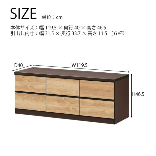 タンス ローチェスト 幅120 完成品 ロータンス 洋服タンス 120-2 収納家具チェスト 洋服収納タンス 収納ケース レール付き チェスト 2段タンス 整理タンス 低い棚 低い台 収納だな ローチェストおしゃれ ローボードテレビ台 木製ローチェスト 日本製 大川家具