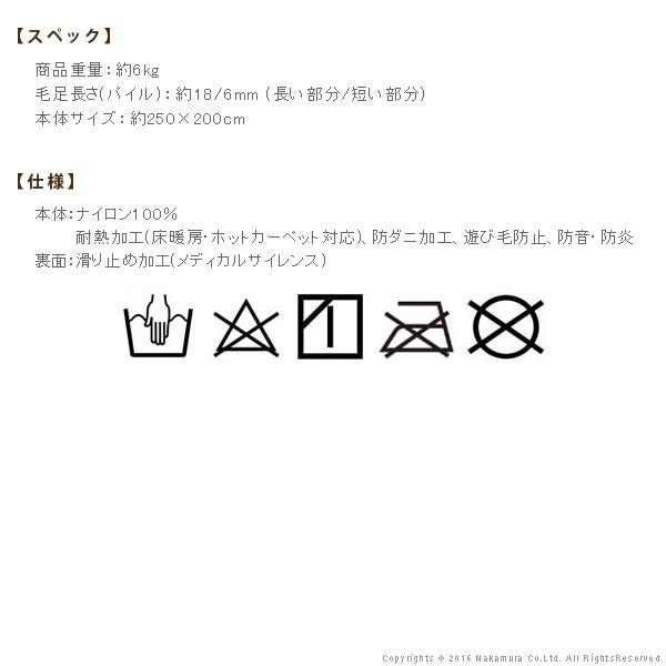 ラグ 洗える ミックスカラーラグ 〔ルーナ〕 250x200cm 防ダニ
