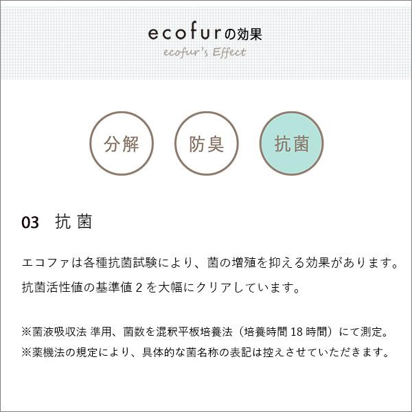 エコファシックハウス対策スプレー(300mlタイプ)有害物質の分解、抗菌、消臭効果【ECOFUR】24本セット_5