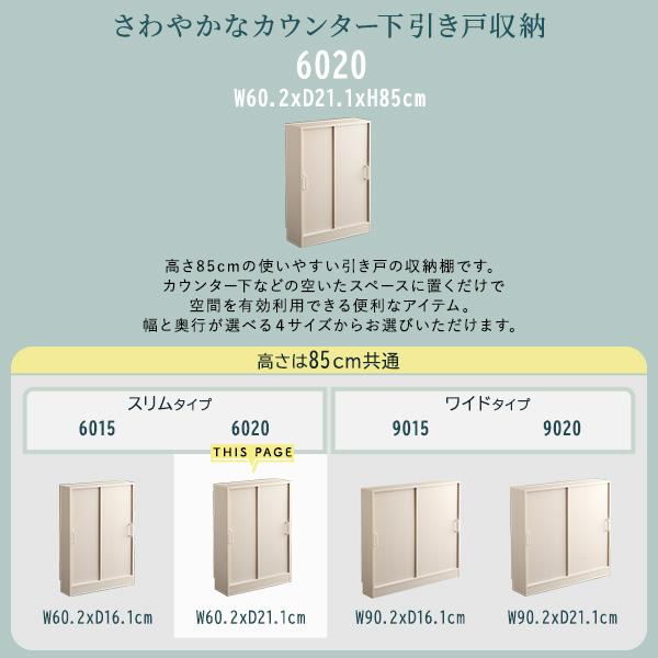 さわやかなカウンター下引き戸収納6020_3