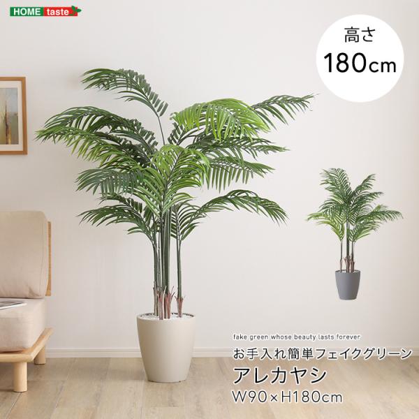 お手入れ簡単フェイクグリーン　アレカヤシ　Lサイズ(180cm)