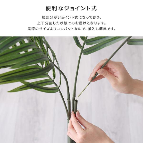 お手入れ簡単フェイクグリーン　アレカヤシ　Lサイズ(180cm)