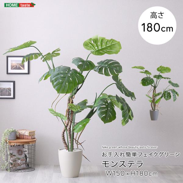 お手入れ簡単フェイクグリーン　モンステラ　Lサイズ(180cm)