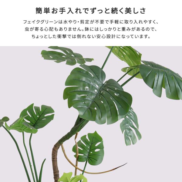 お手入れ簡単フェイクグリーン　モンステラ　Mサイズ(150cm)_3