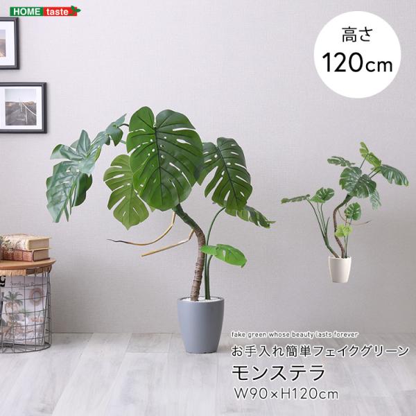お手入れ簡単フェイクグリーン　モンステラ　Sサイズ(120cm)