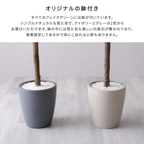 お手入れ簡単フェイクグリーン　モンステラ　Sサイズ(120cm)_5