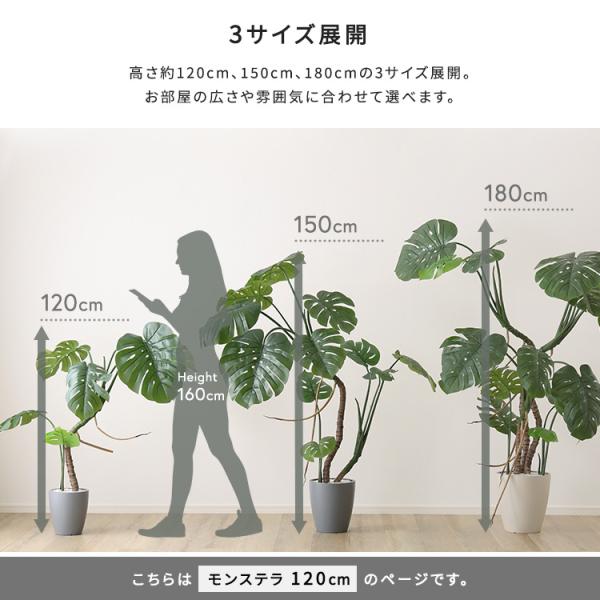 お手入れ簡単フェイクグリーン　モンステラ　Sサイズ(120cm)_7