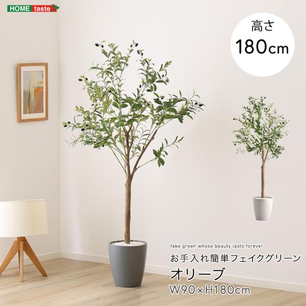 お手入れ簡単フェイクグリーン　オリーブ　Lサイズ(180cm)