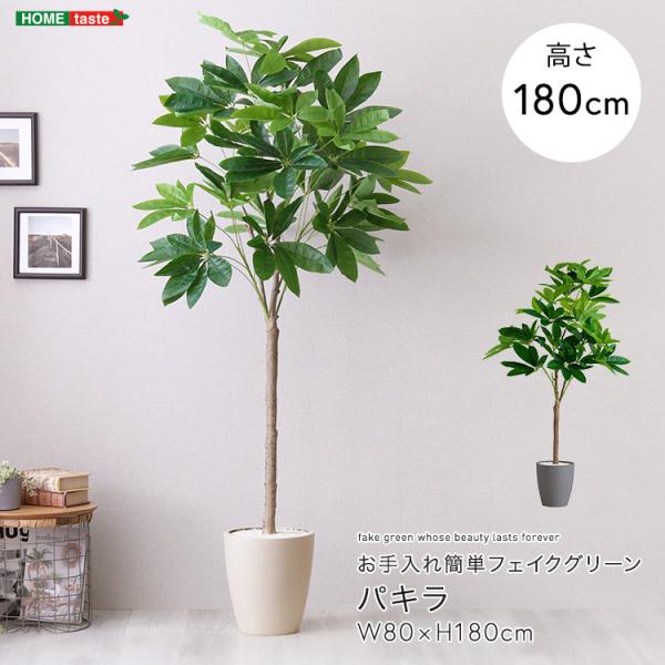 お手入れ簡単フェイクグリーン　パキラ　Lサイズ(180cm)