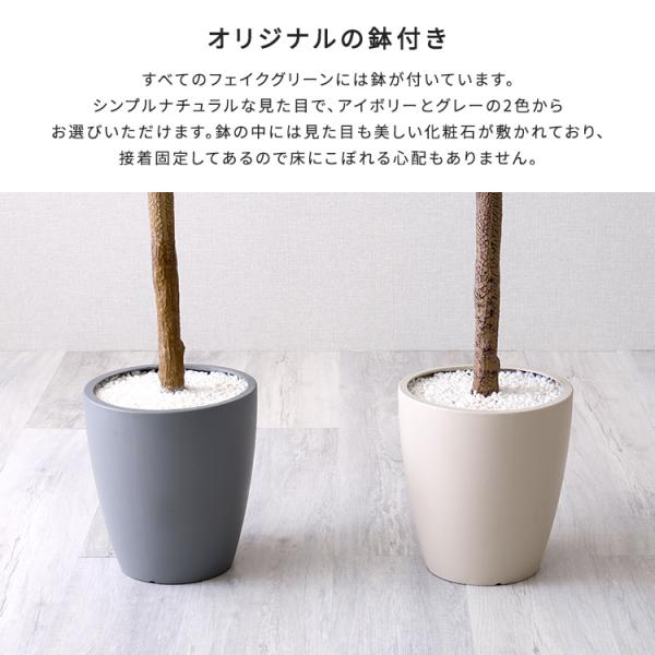 お手入れ簡単フェイクグリーン　ストレリチア　Lサイズ(180cm)_5
