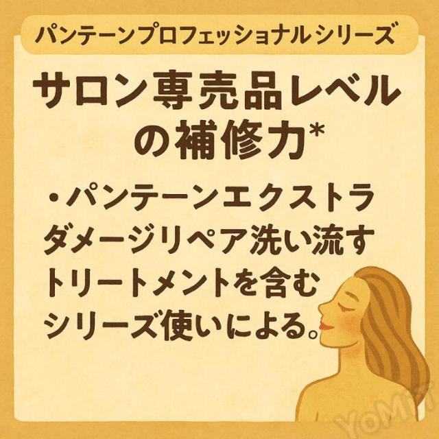 6袋 Pantene パンテーン ダメージリペア プロフェッショナル