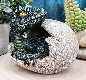 ジュラ紀 ヴェロキラプトル（プレデター）の孵化(ふか)する、恐竜の卵 置物 先史時代の動物グッズ 化石アート（輸入品）中生代白亜紀後期 生息 小型肉食恐竜 獣脚類_5