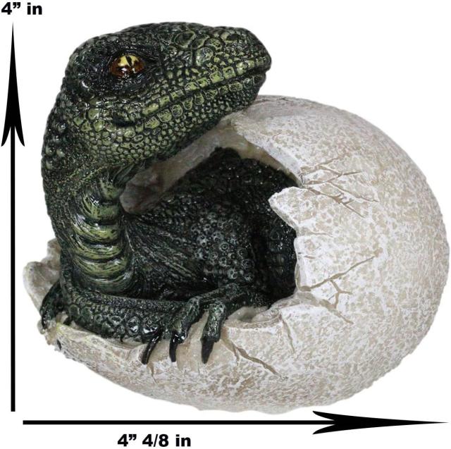 ジュラ紀 ヴェロキラプトル（プレデター）の孵化(ふか)する、恐竜の卵 置物 先史時代の動物グッズ 化石アート（輸入品）中生代白亜紀後期 生息 小型肉食恐竜 獣脚類_6