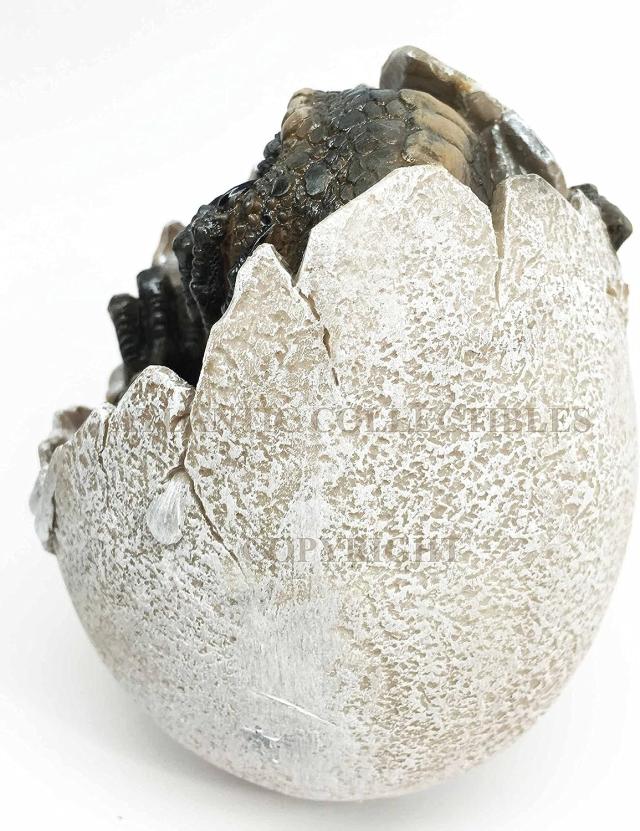 ティラノサウルス・レックスの卵 恐竜置物 孵化し、割れた卵から、顔を出す恐竜の赤ちゃん レプリカ 彫刻 彫像 中生代白亜紀末期 北アメリカ大陸 肉食恐竜 ジュラシック・パーク（輸入品）