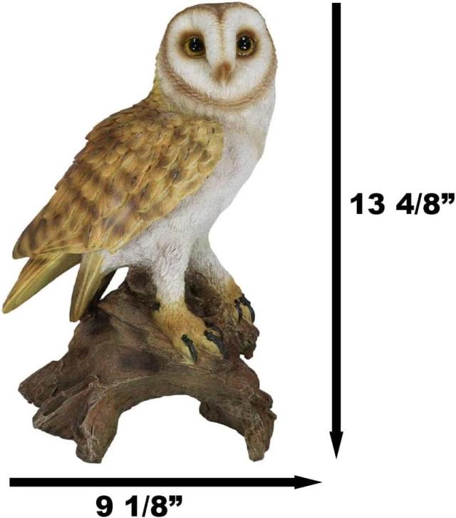 リアルな自然野生生物 木の切り株にとまるメンフクロウ彫像 ガラスの目置物彫刻 カフェ 贈り物 輸入品_1
