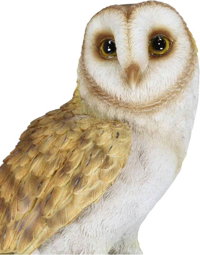 リアルな自然野生生物 木の切り株にとまるメンフクロウ彫像 ガラスの目置物彫刻 カフェ 贈り物 輸入品_6