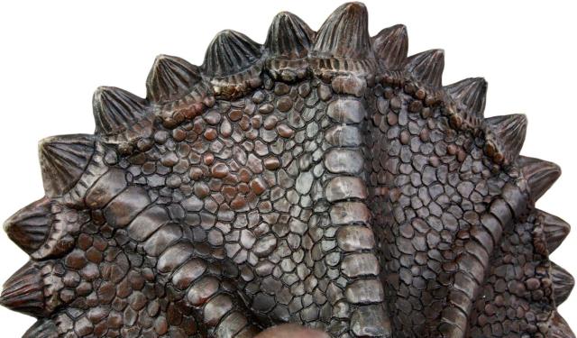恐竜のトリケラトプス　頭部（トロフィー ）の彫刻　彫像　角竜類 恐竜 プレゼント 贈り物/（輸入品）_5
