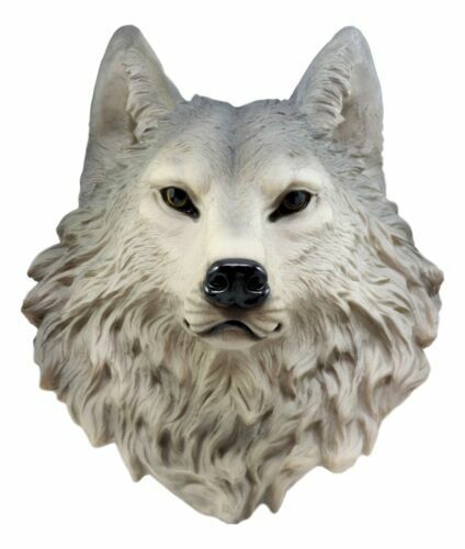 ウルフ レムス（ローマ伝説）灰色オオカミ 頭部彫像/`ガーデニング 玄関エントランス装飾 動物カフェ 新築祝い プレゼント 贈り物（輸入版_5