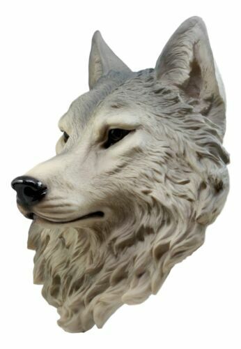 ウルフ レムス（ローマ伝説）灰色オオカミ 頭部彫像/`ガーデニング 玄関エントランス装飾 動物カフェ 新築祝い プレゼント 贈り物（輸入版_7