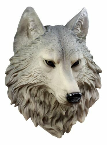 ウルフ レムス（ローマ伝説）灰色オオカミ 頭部彫像/`ガーデニング 玄関エントランス装飾 動物カフェ 新築祝い プレゼント 贈り物（輸入版_8