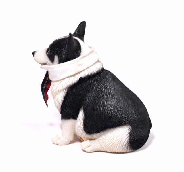 1/6サイズ太っちょ ブラック＆ホワイト色のウェルシュ・コーギー・ペンブローク犬リアルフィギュア犬動物彫像置物イヌ好き輸入品JXK-140B_8
