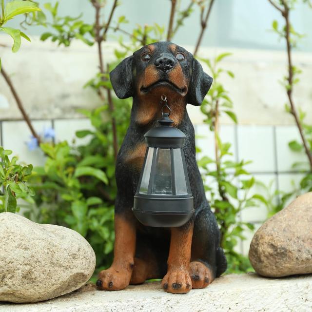 ソーラーランタンを咥えたラブラドールの子犬屋外装飾LEDライト屋外ガーデンデコ装飾置物パティオ輸入品_5