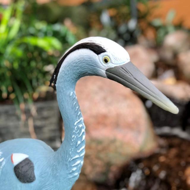 Aquascape製 アオサギ （青鷺）リアルフィギュア動物彫像 鳥デコイ 池 滝 景観 庭園用 プレゼント輸入品_2
