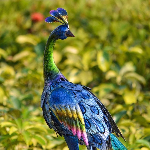 メタル装飾 立っているピーコック（孔雀） アートガーデン彫刻装飾 ポーチ パティオ 芝生デコレーション装飾彫像/新築祝い贈り物（輸入品）_2