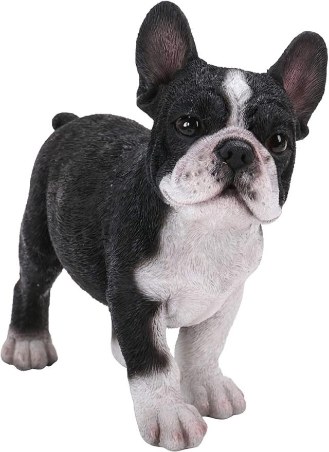 リアルな外観の、立っているフレンチブルドッグの子犬 置物像、彫像、彫刻　（輸入品）ギフト、獣医 ドッグカフェ、幼稚園 児童館(輸入品)