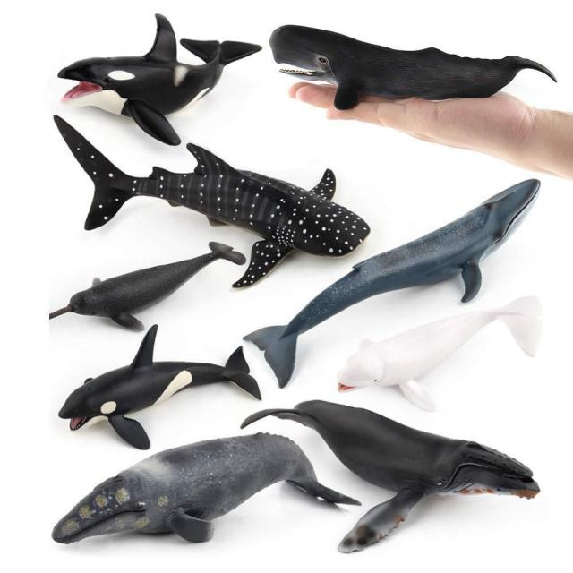 ファンタエリア 海洋動物フィギュア 海の生き物 アクションモデル クジラ オーナメント教育&認知玩具 男女の子供 5〜8歳（9ピ−ス）輸入品