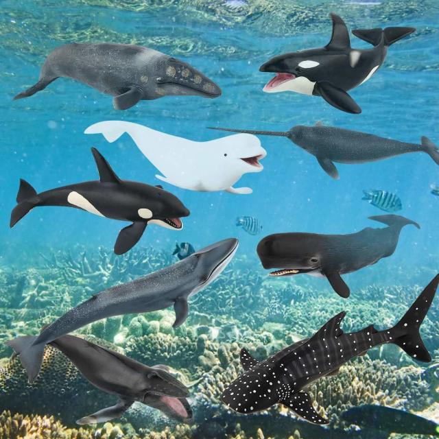 ファンタエリア 海洋動物フィギュア 海の生き物 アクションモデル クジラ オーナメント教育&認知玩具 男女の子供 5〜8歳（9ピ−ス）輸入品_2
