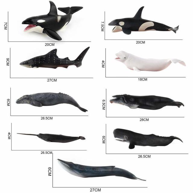 ファンタエリア 海洋動物フィギュア 海の生き物 アクションモデル クジラ オーナメント教育&認知玩具 男女の子供 5〜8歳（9ピ−ス）輸入品_4