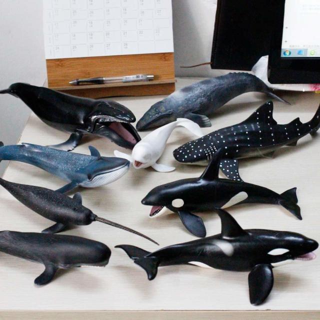 ファンタエリア 海洋動物フィギュア 海の生き物 アクションモデル クジラ オーナメント教育&認知玩具 男女の子供 5〜8歳（9ピ−ス）輸入品_5