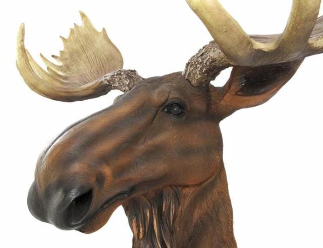 北米大陸のヘラジカ (ムース) 頭部 壁掛け彫刻 彫像 / North American Moose Head Bust Wall Hanging （輸入品_1
