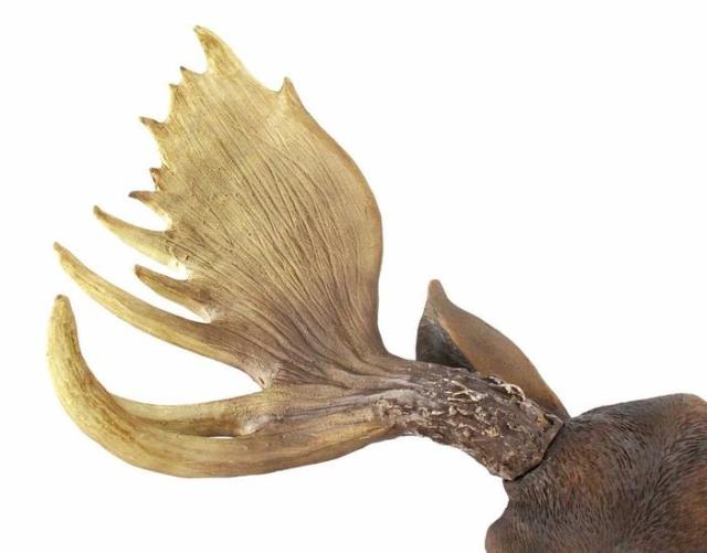 北米大陸のヘラジカ (ムース) 頭部 壁掛け彫刻 彫像 / North American Moose Head Bust Wall Hanging （輸入品_3