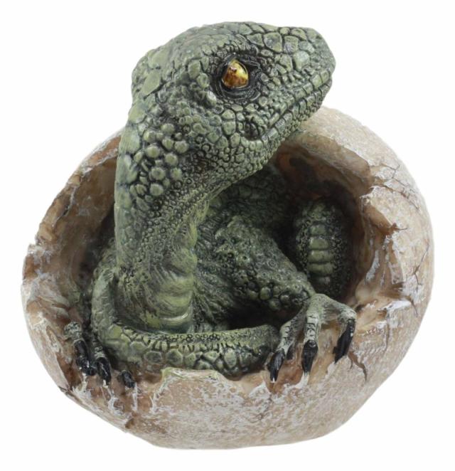 ジュラ紀 ヴェロキラプトル（プレデター）の孵化(ふか)する、恐竜の卵 置物 先史時代の動物グッズ 化石アート（輸入品）中生代白亜紀後期 生息 小型肉食恐竜 獣脚類_1