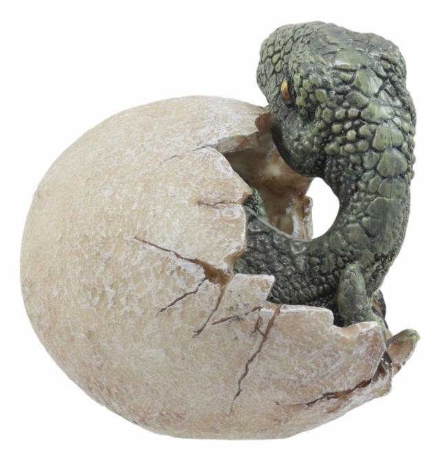 ジュラ紀 ヴェロキラプトル（プレデター）の孵化(ふか)する、恐竜の卵 置物 先史時代の動物グッズ 化石アート（輸入品）中生代白亜紀後期 生息 小型肉食恐竜 獣脚類_2