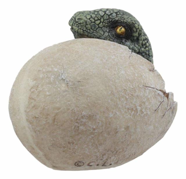 ジュラ紀 ヴェロキラプトル（プレデター）の孵化(ふか)する、恐竜の卵 置物 先史時代の動物グッズ 化石アート（輸入品）中生代白亜紀後期 生息 小型肉食恐竜 獣脚類_3