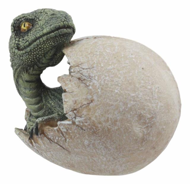 ジュラ紀 ヴェロキラプトル（プレデター）の孵化(ふか)する、恐竜の卵 置物 先史時代の動物グッズ 化石アート（輸入品）中生代白亜紀後期 生息 小型肉食恐竜 獣脚類_4