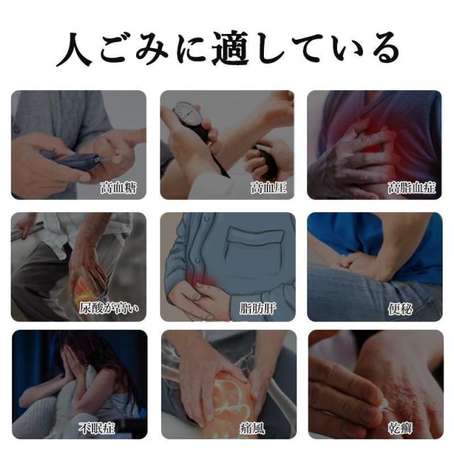 水素水生成器 水素水 快速生成 高濃度水素水 健康 持ち運び簡単 冷水/温水通用 ボトル式電解水機 usb充電式