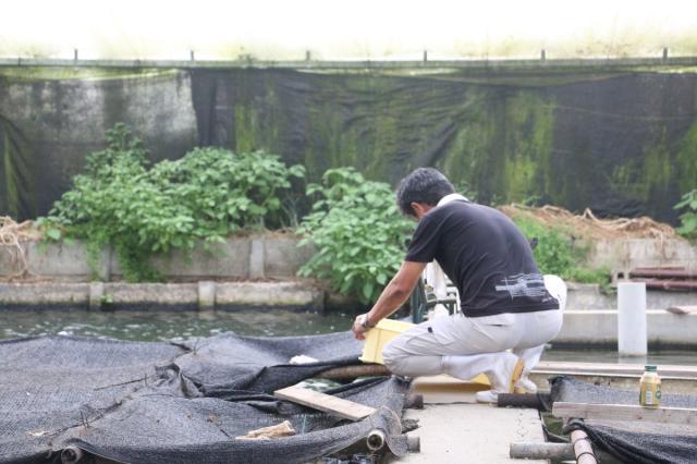 うなぎ蒲焼  国産 浜松・浜名湖うなぎ特大蒲焼2人前（210gｘ2） 長焼き 鰻蒲焼き うなぎの蒲焼 国産うなぎ蒲焼 浜名湖産うなぎ ウナギの蒲焼き 冷凍ウナギ 冷凍うなぎ 国産うなぎ通販 ウナギギフト うなぎセット unagi 鰻 贈答用_7