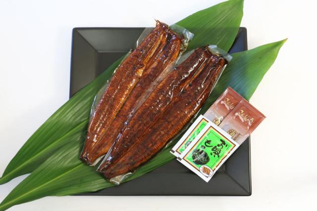うなぎ蒲焼  国産 浜松・浜名湖うなぎ特大蒲焼2人前（210gｘ2） 長焼き 鰻蒲焼き うなぎの蒲焼 国産うなぎ蒲焼 浜名湖産うなぎ ウナギの蒲焼き 冷凍ウナギ 冷凍うなぎ 国産うなぎ通販 ウナギギフト うなぎセット unagi 鰻 贈答用_4