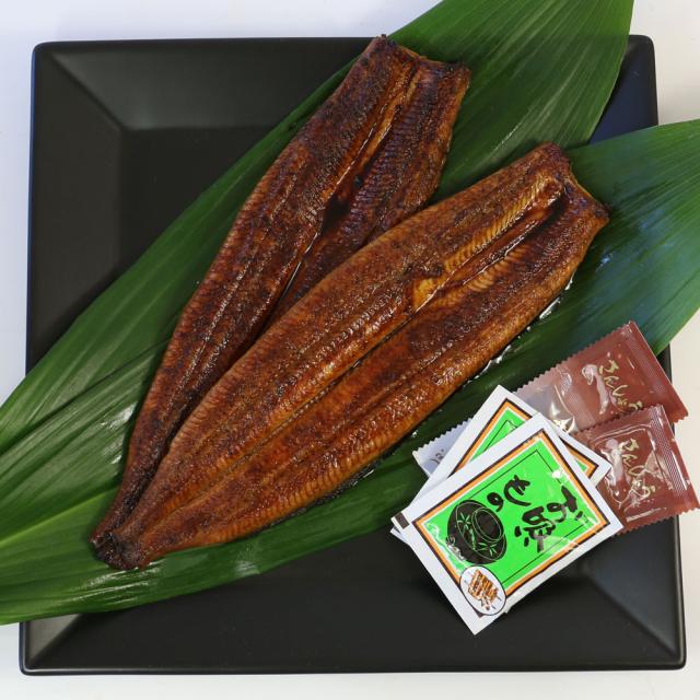 うなぎ蒲焼  国産 浜松・浜名湖うなぎ特大蒲焼2人前（210gｘ2） 長焼き 鰻蒲焼き うなぎの蒲焼 国産うなぎ蒲焼 浜名湖産うなぎ ウナギの蒲焼き 冷凍ウナギ 冷凍うなぎ 国産うなぎ通販 ウナギギフト うなぎセット unagi 鰻 贈答用_3