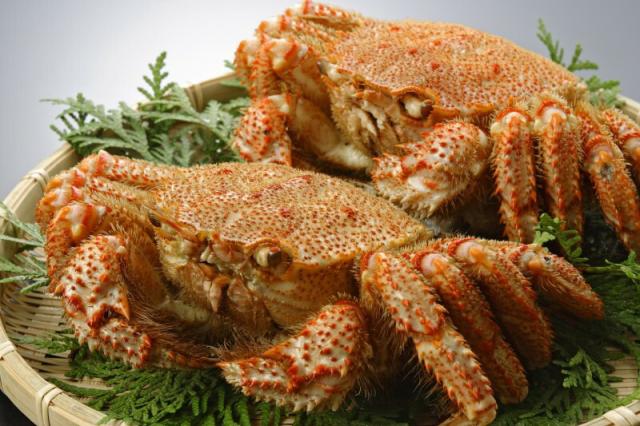 毛ガニ(420g×2尾)セット 産地直送 贈答用 お土産 贈り物 お歳暮 お中元 濃厚カニ噌 未冷凍 かに通販 お取り寄せ ギフト プレゼント 化粧箱入り 堅蟹 カタガニ かたがに ケガニ 毛ガニ かに カニ お祝い お年賀 海の幸 グルメ 厳選商品 カニ通販_2